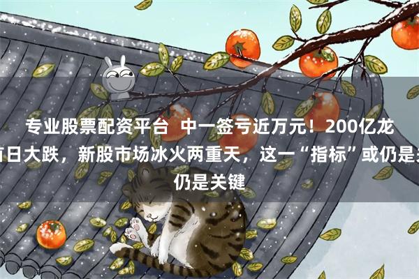 专业股票配资平台  中一签亏近万元！200亿龙头首日大跌，新股市场冰火两重天，这一“指标”或仍是关键