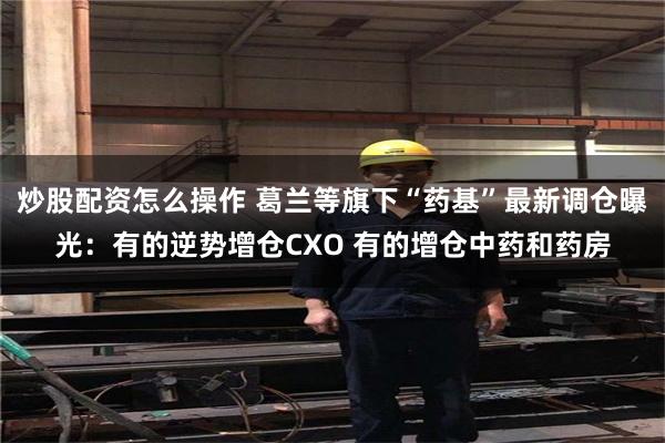 炒股配资怎么操作 葛兰等旗下“药基”最新调仓曝光：有的逆势增仓CXO 有的增仓中药和药房