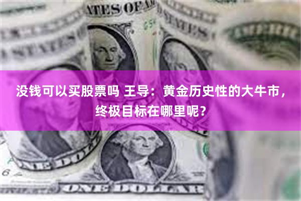 没钱可以买股票吗 王导：黄金历史性的大牛市，终极目标在哪里呢？