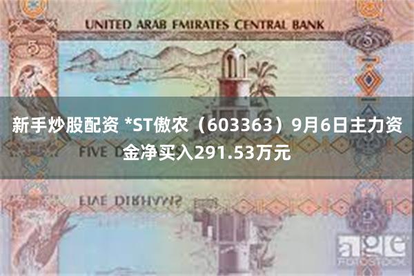 新手炒股配资 *ST傲农（603363）9月6日主力资金净买入291.53万元