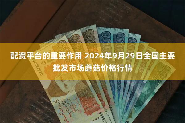 配资平台的重要作用 2024年9月29日全国主要批发市场蘑菇价格行情