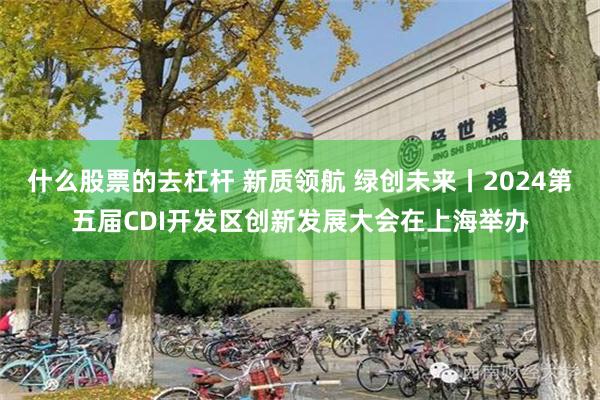 什么股票的去杠杆 新质领航 绿创未来丨2024第五届CDI开发区创新发展大会在上海举办