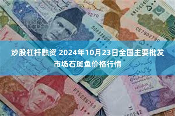 炒股杠杆融资 2024年10月23日全国主要批发市场石斑鱼价格行情