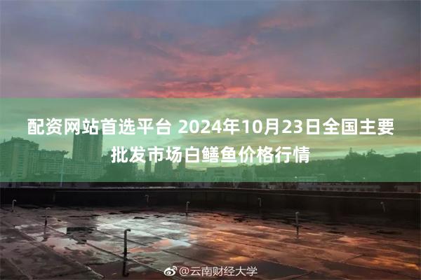 配资网站首选平台 2024年10月23日全国主要批发市场白鳝鱼价格行情