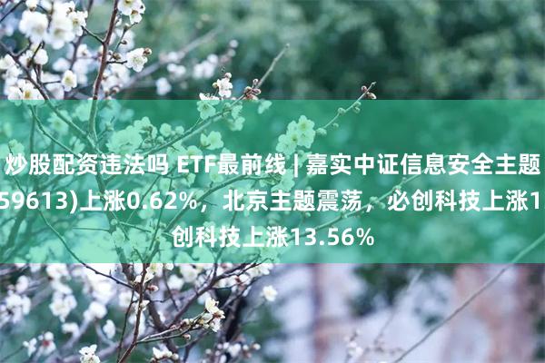 炒股配资违法吗 ETF最前线 | 嘉实中证信息安全主题ETF(159613)上涨0.62%，北京主题震荡，必创科技上涨13.56%