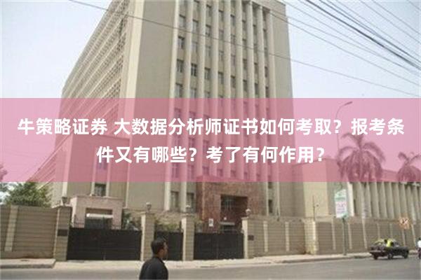 牛策略证券 大数据分析师证书如何考取？报考条件又有哪些？考了有何作用？