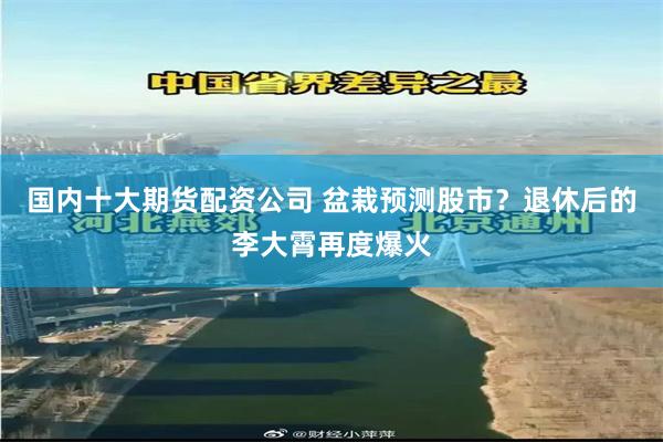 国内十大期货配资公司 盆栽预测股市？退休后的李大霄再度爆火