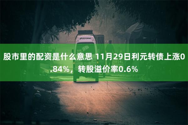 股市里的配资是什么意思 11月29日利元转债上涨0.84%，转股溢价率0.6%