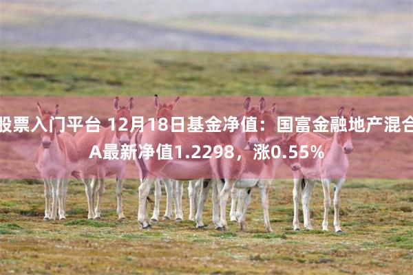 股票入门平台 12月18日基金净值：国富金融地产混合A最新净值1.2298，涨0.55%