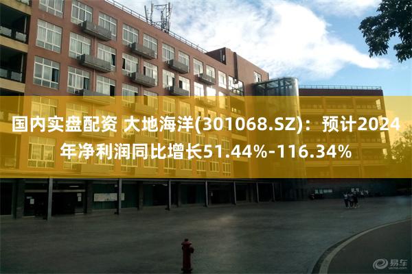 国内实盘配资 大地海洋(301068.SZ)：预计2024年净利润同比增长51.44%-116.34%