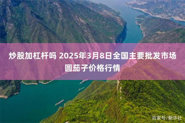 炒股加杠杆吗 2025年3月8日全国主要批发市场圆茄子价格行情