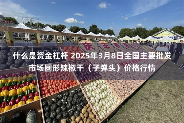 什么是资金杠杆 2025年3月8日全国主要批发市场圆形辣椒干（子弹头）价格行情